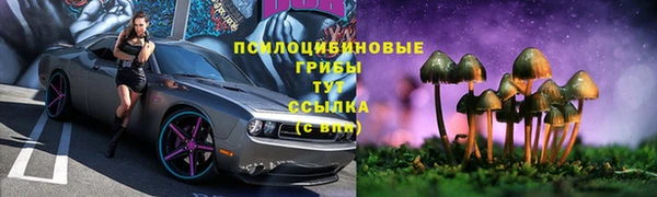 дурь Кулебаки