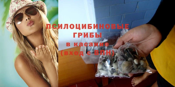 дурь Кулебаки